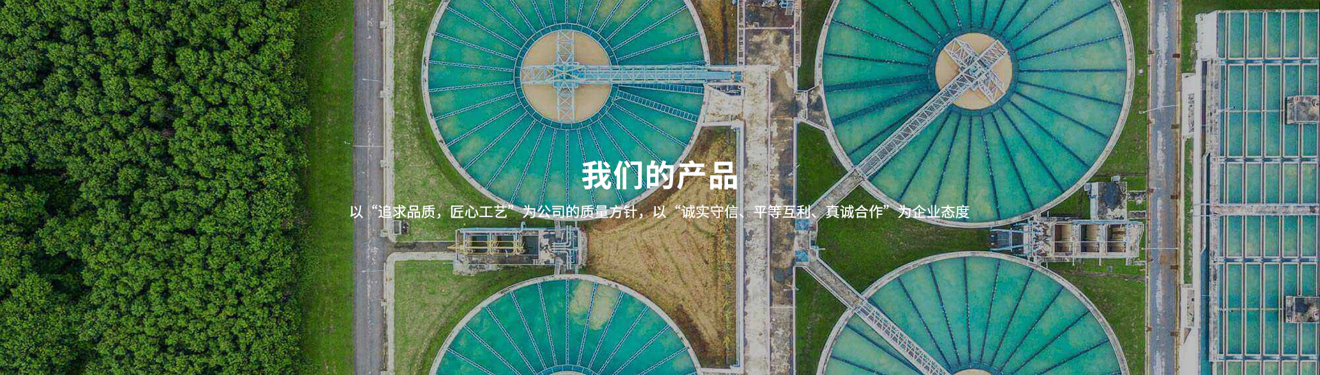 衛(wèi)生級焊接式止回閥